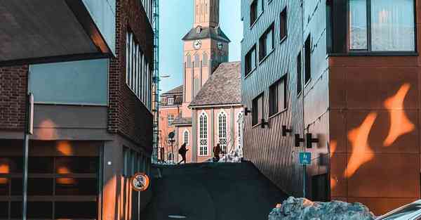 地球最广泛先进的人工智能机器人