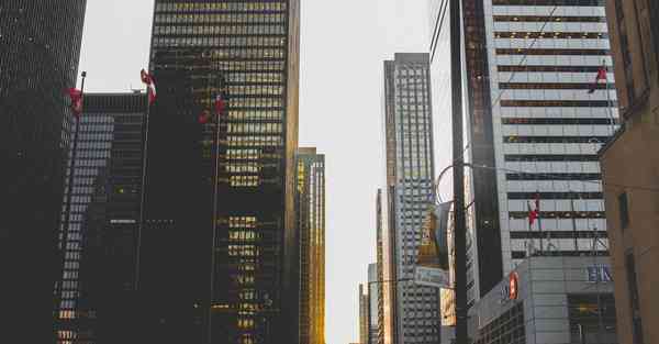 外国语单招大数据的行业文章