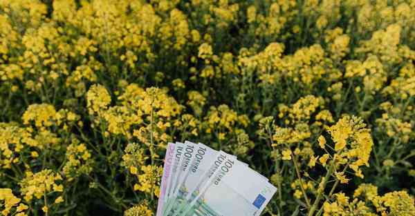 哈佛项目大数据