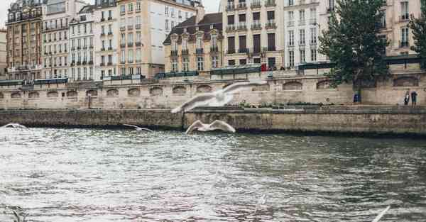 外国语单招大数据的行业文章