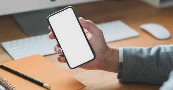 外国语单招大数据的行业文章