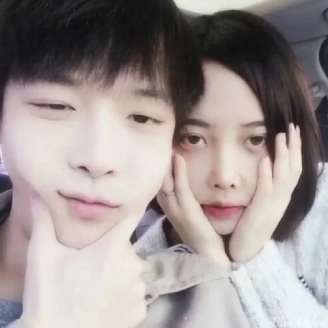 湛蝶保豪