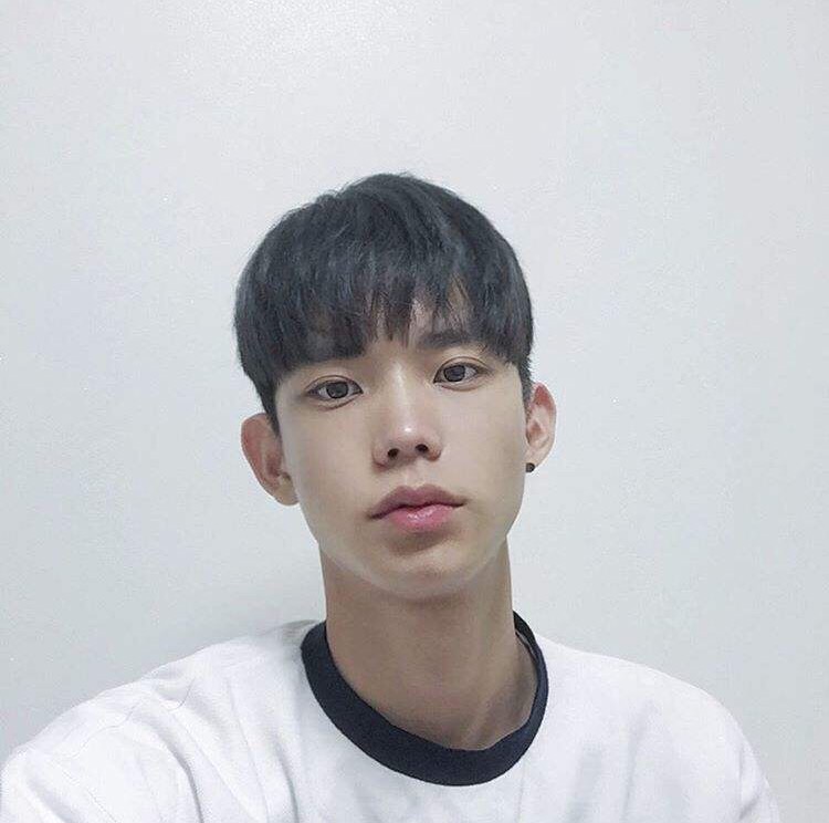 奚磊淑嘉