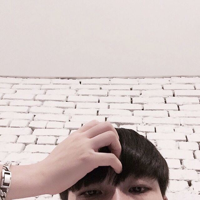 洪中紫珊