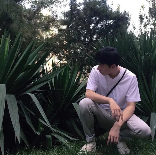 陶亮榕青