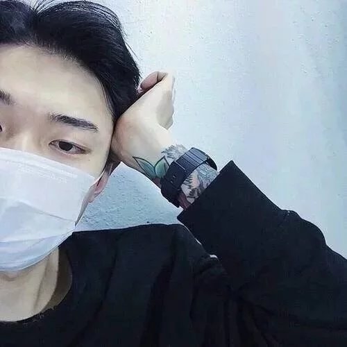 荀凡士婉