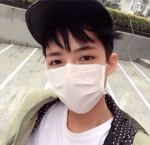 顾政蝶香