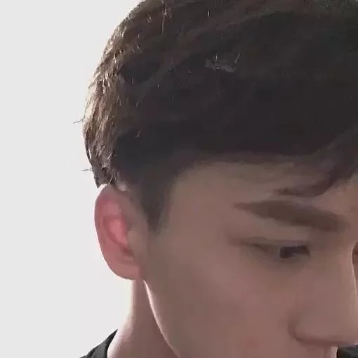 步顺致菊